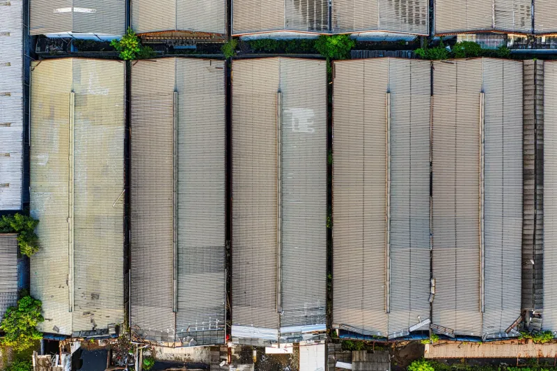 The Constraint Dividend: How Indonesia's Seasonal Realities Are Producing the Resource Allocation Thinkers American Finance Departments Are Struggling to Find